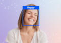 Real-Time Cat Emotion Detector