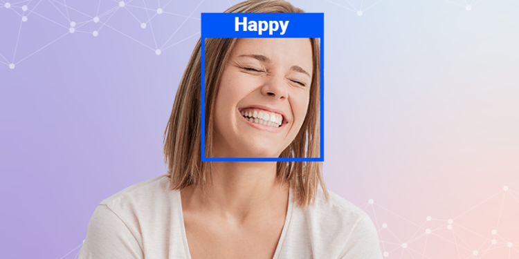 Real-Time Cat Emotion Detector