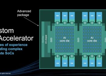 AI Accelerator Chip Security