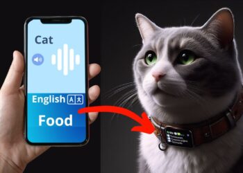 Vocal Pet Translation Apps