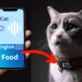 Vocal Pet Translation Apps